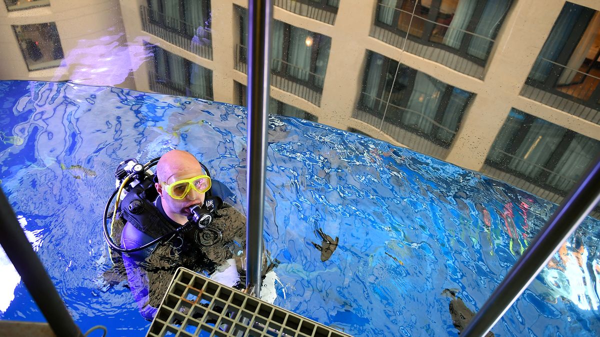 Únava materiálu. Všech 1500 ryb z prasklého akvária v Berlíně uhynulo